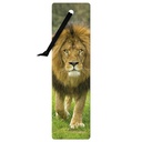 3D Bookmarks - African Lion