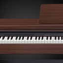 Casio AP-270 Brown