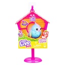 LLP Lil Bird & House Rainbow Tweets