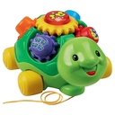 VTech Pull & Play Turtle