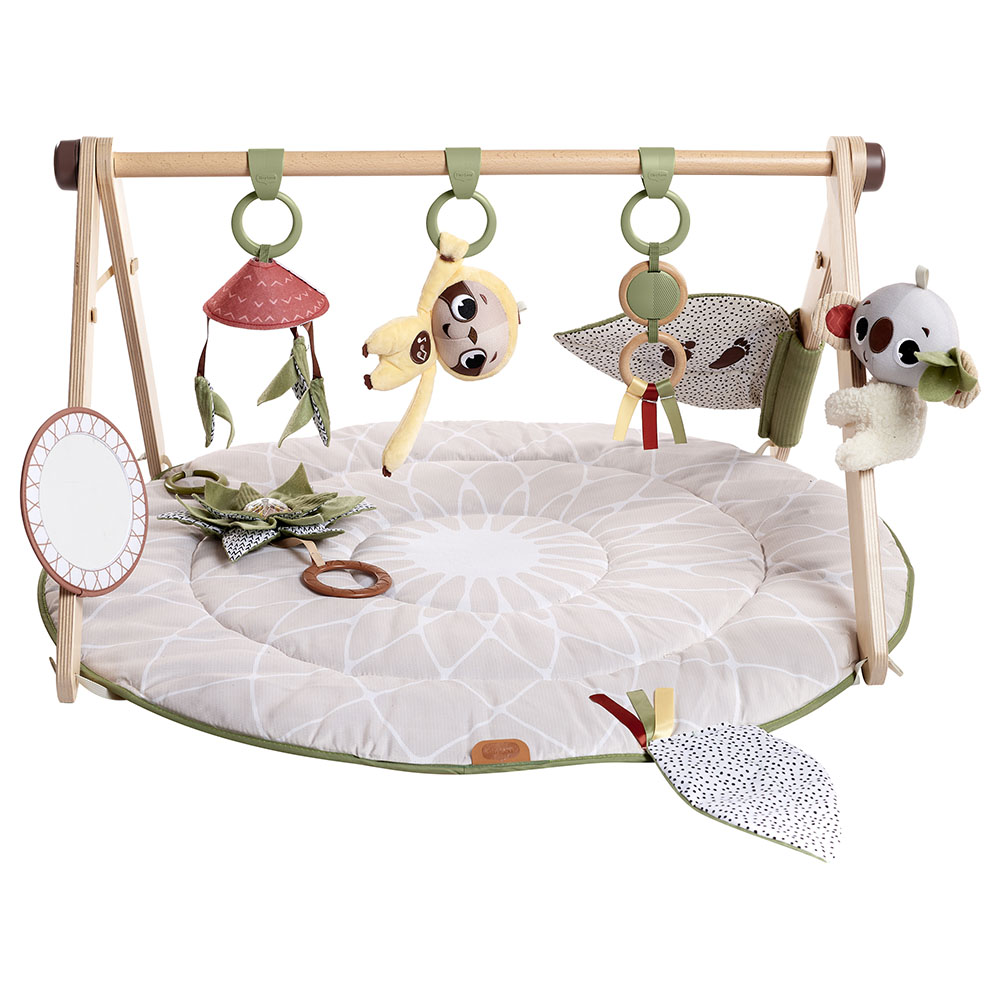 Tiny Love Boho Chic Luxe Gymini Play Arch