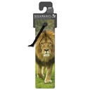 3D Bookmarks - African Lion