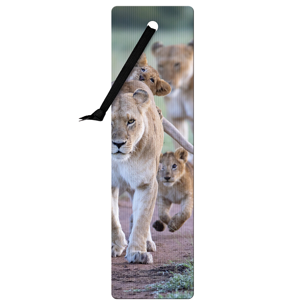 3D Bookmarks - African Lion Cubs