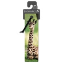 3D Bookmarks - Giraffe
