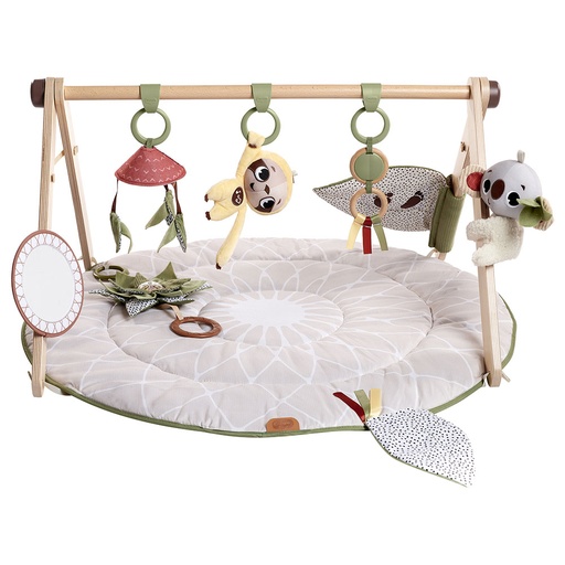Tiny Love Boho Chic Luxe Gymini Play Arch